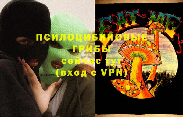 спайс Бородино