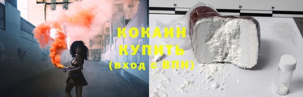 шишки Бронницы
