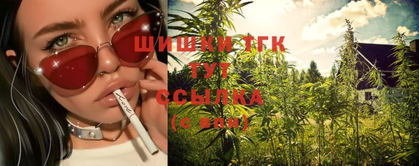 мдпв Бугульма