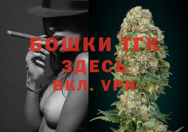 шишки Бронницы