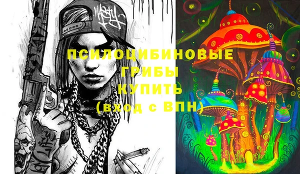 спайс Бородино