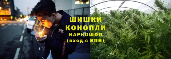 шишки Бронницы