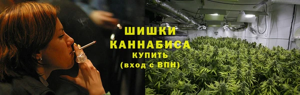 шишки Бронницы