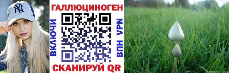 Галлюциногенные грибы прущие грибы  Видное 